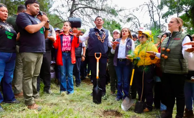 Puebla planta casi 178 mil árboles para rescatar la cuenca del Atoyac; meta es llegar a 2 millones