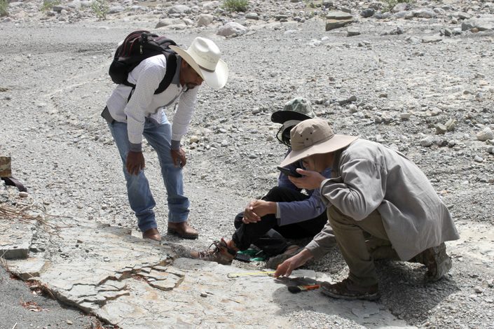 Descubren en Puebla la huella de dinosaurio más pequeña registrada en el estado