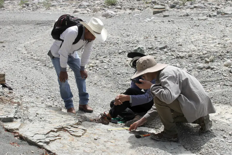 Descubren en Puebla la huella de dinosaurio más pequeña registrada en el estado