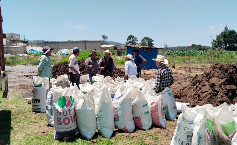“Piglizante” llega a mil hectáreas de Puebla y Veracruz; reportan mayor producción