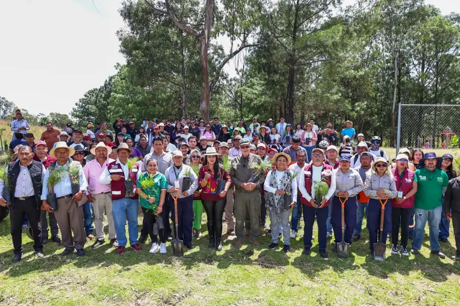Reforestan Cerro Zapotecas con 600 árboles; preparan una última jornada en 2026