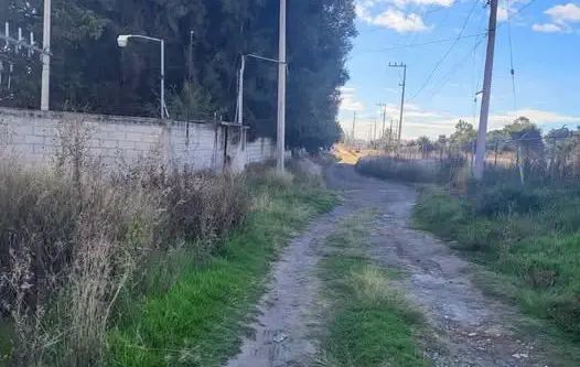 Localizan a recién nacido presuntamente abandonado en Camino Real a Cholula; movilizan a policías y paramédicos