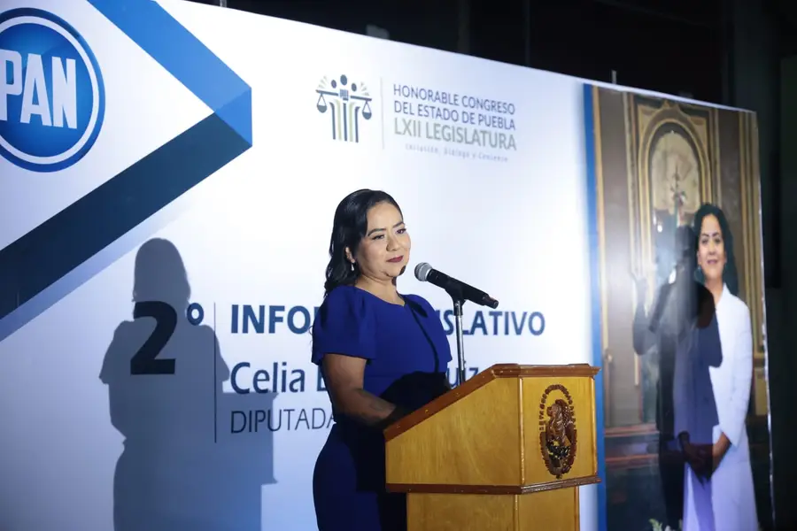 Celia Bonaga presenta 111 propuestas legislativas en dos años; 19 fueron aprobadas